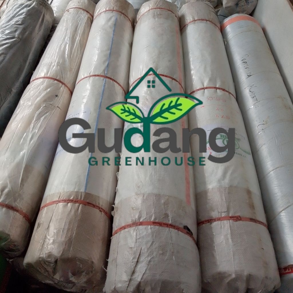 Plastik UV 3 meter panjang 100 meter UV 14% Jempol