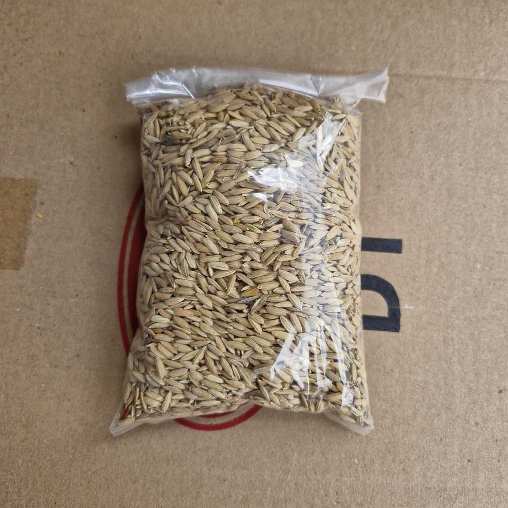 Gabah / Beras Merah Pakan Ayam (500gr, 1000gr 1Kg)