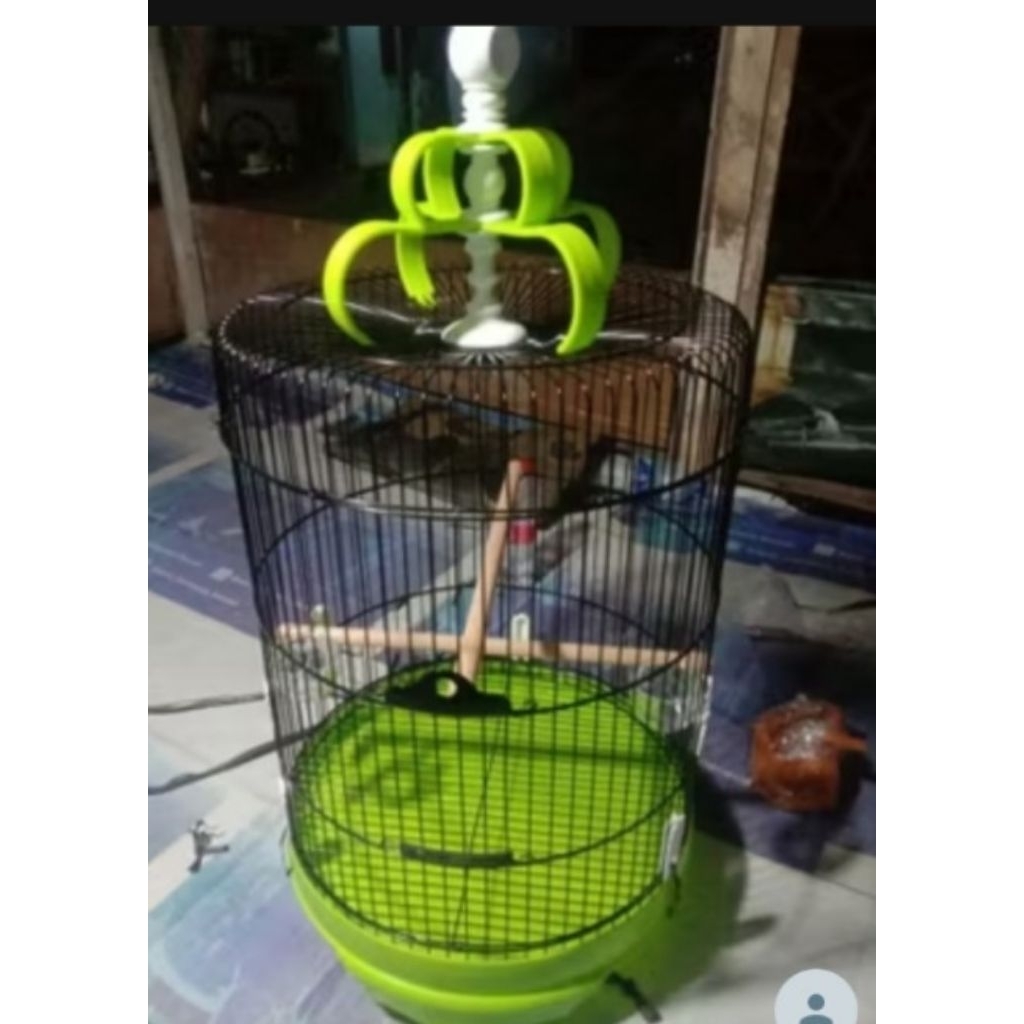 Sangkar Burung Besi Jumbo Diameter 42cm Sangkar Kapsul Kacer Trotol Cucak ijo Ram Kandang besi
