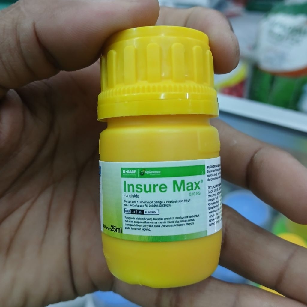 Fungisida INSUREMAX Obat Bulai Pada Tanaman Jagung