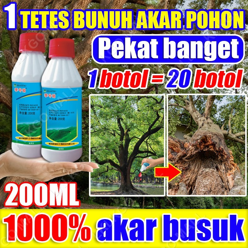 racun pohon besar paling ampuh racun bambu racun kayu paling ampuh  Cepat Mati Membunuh pohon besar 