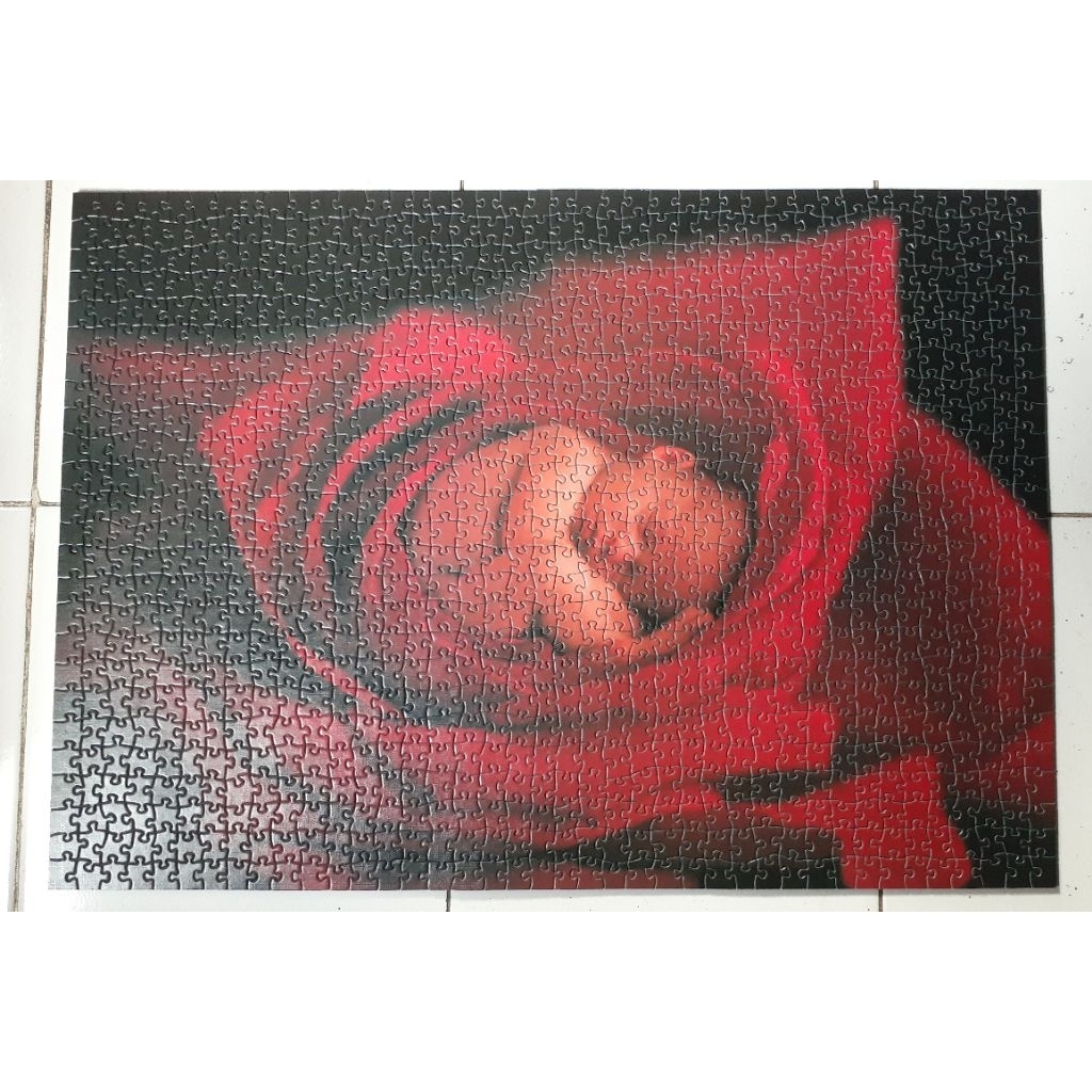 Jigsaw Puzzle Collection-  "Anne Geddes 2006"