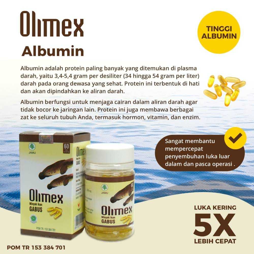 Kapsul Olimex Minyak Ikan Gabus Albumin