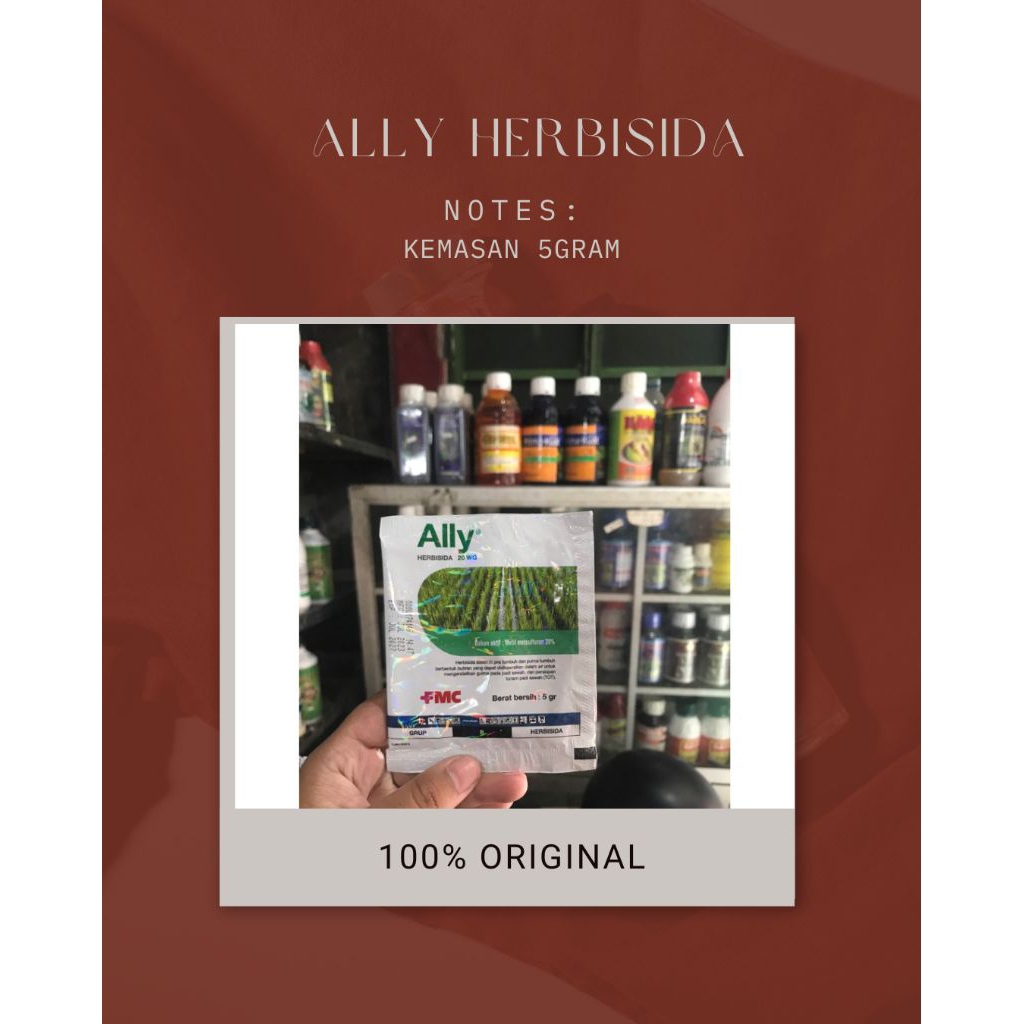 Herbisida Ally 20 WG