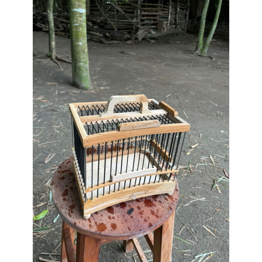 kandang untulan pleci