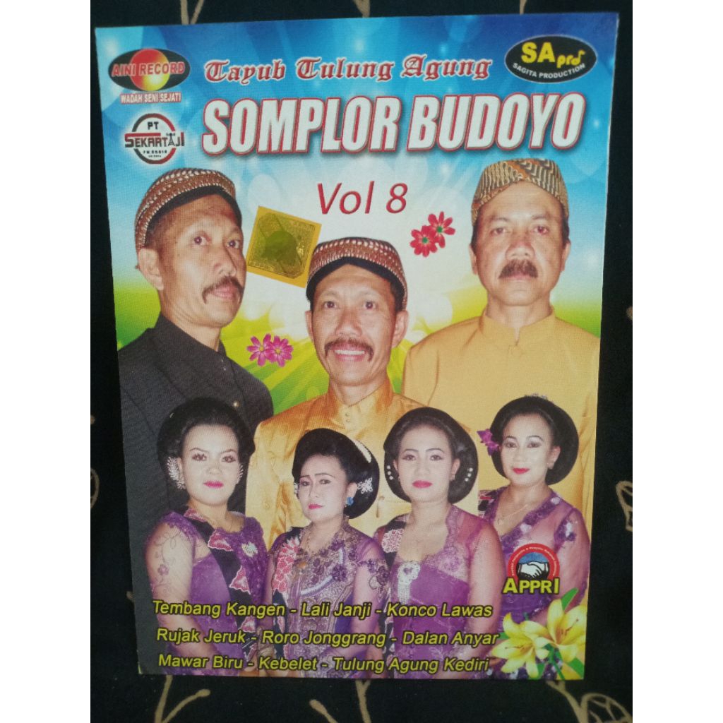 VCD TAYUB SOMPLOR BUDOYO VOL 8