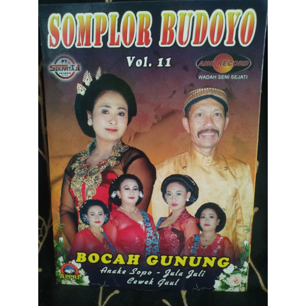 VCD TAYUB SOMPLOR BUDOYO VOL 11