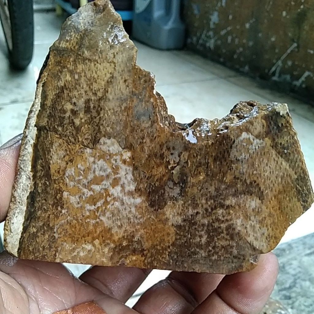 BATU FOSIL KELOR EMAS SEMI CRYSTAL MOTIF UNIK