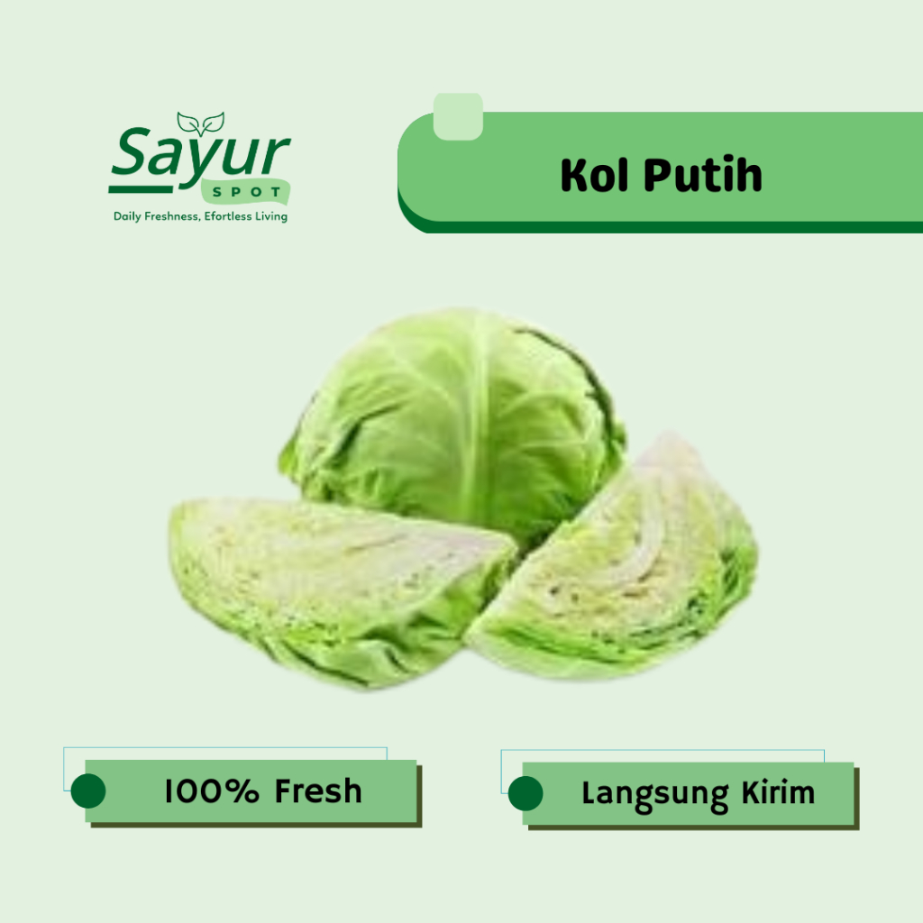 Kol Putih / Kubis Segar / Sayur Bekasi | Sayur Spot Bekasi