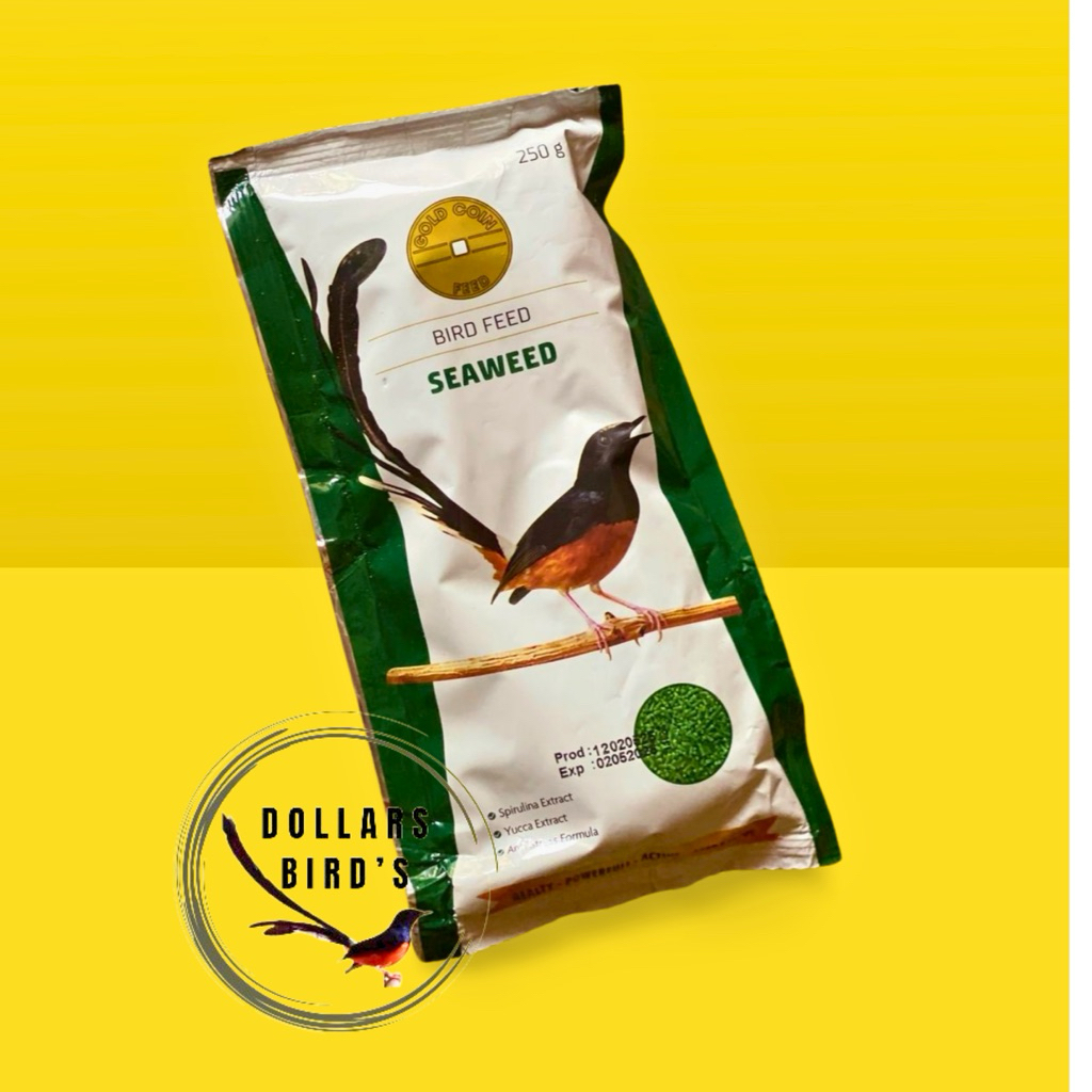 GOLD COIN SEAWEED voer
