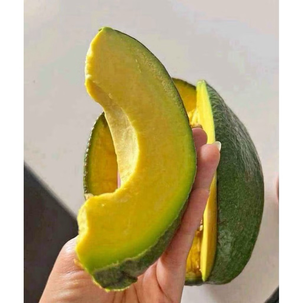 Alpukat Kendil Daging Tebal Atau Alpukat Markus 1 KG Isi 1-2 PCS Alpukat Kendil Jumbo Alpukat Besar 