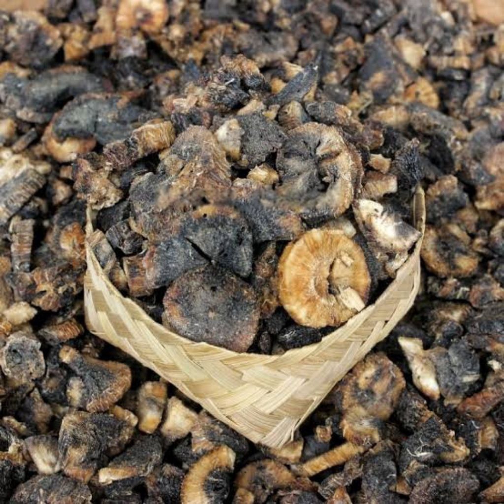 Gatot singkong gatot instan camilan enak