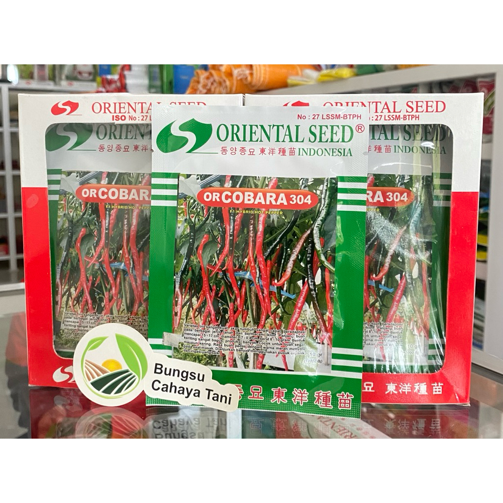 Bibit Cabe Keriting OR COBARA 304 10gr