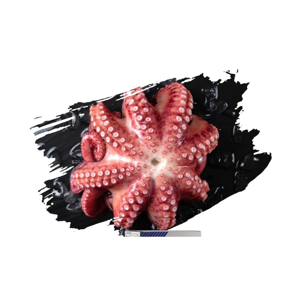 Octopus Flower Premium Gurita Flower Cooked Seafood