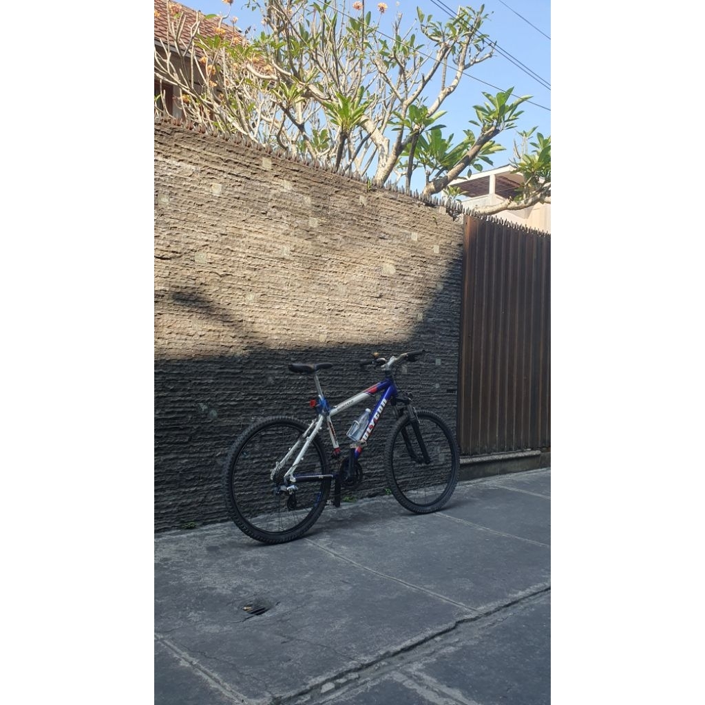 Sepeda polygon astroz