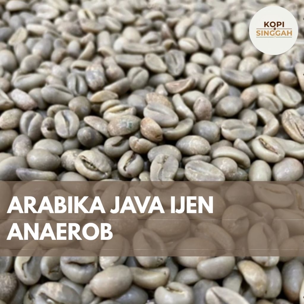 GreenBean Arabika Java Ijen Anaerob Proses