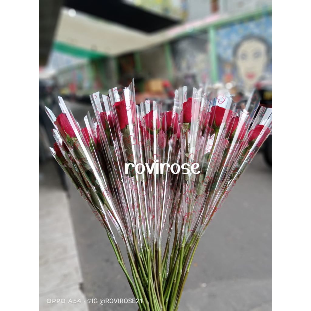 bunga mawar satuan bunga asli bervarian warna