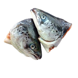 Kepala Salmon 1Kg / Kepala Salmon Segar / Salmon Head