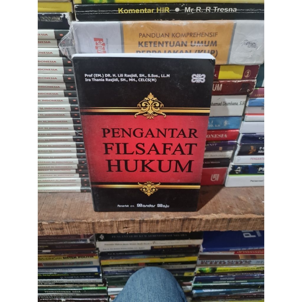 Pengantar filsafat Hukum by Prof Dr H Lili Rasjidi