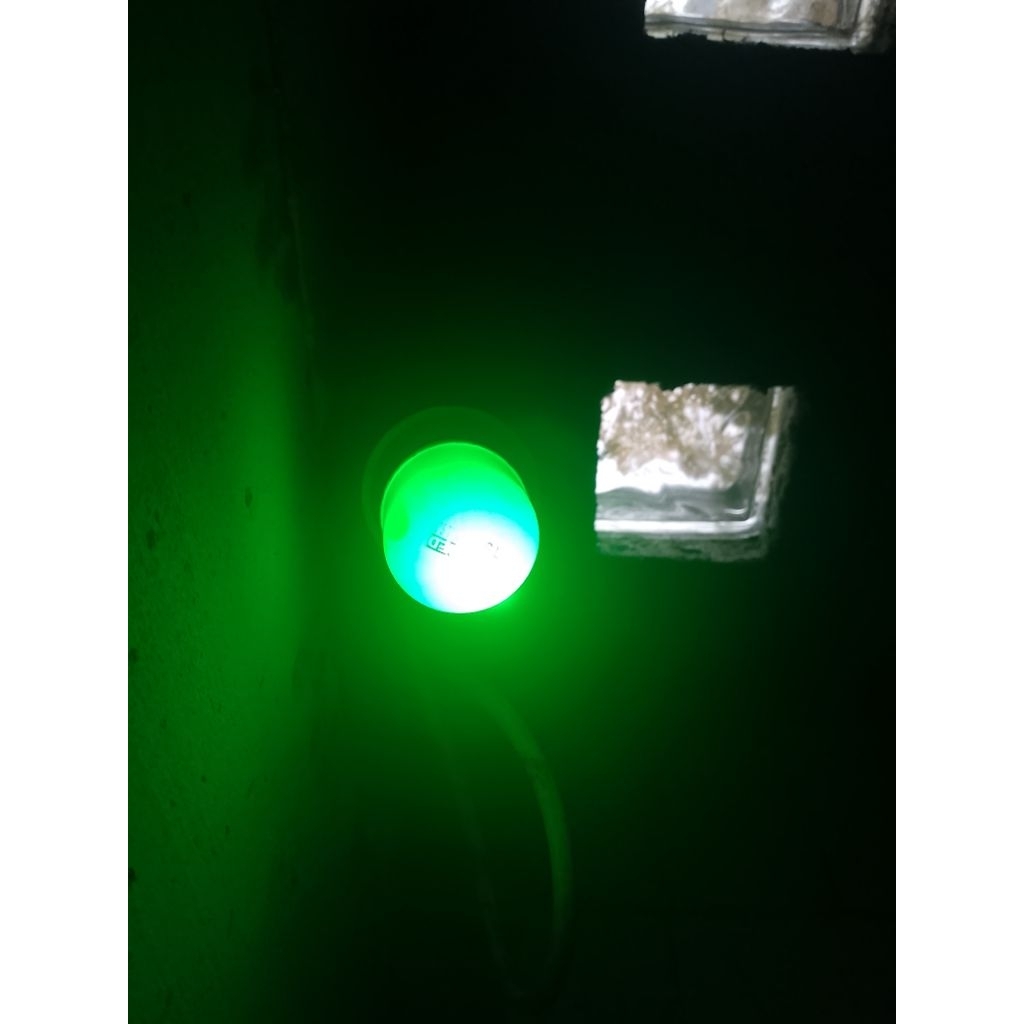 Lampu LED warna 5watt AC 220 volt