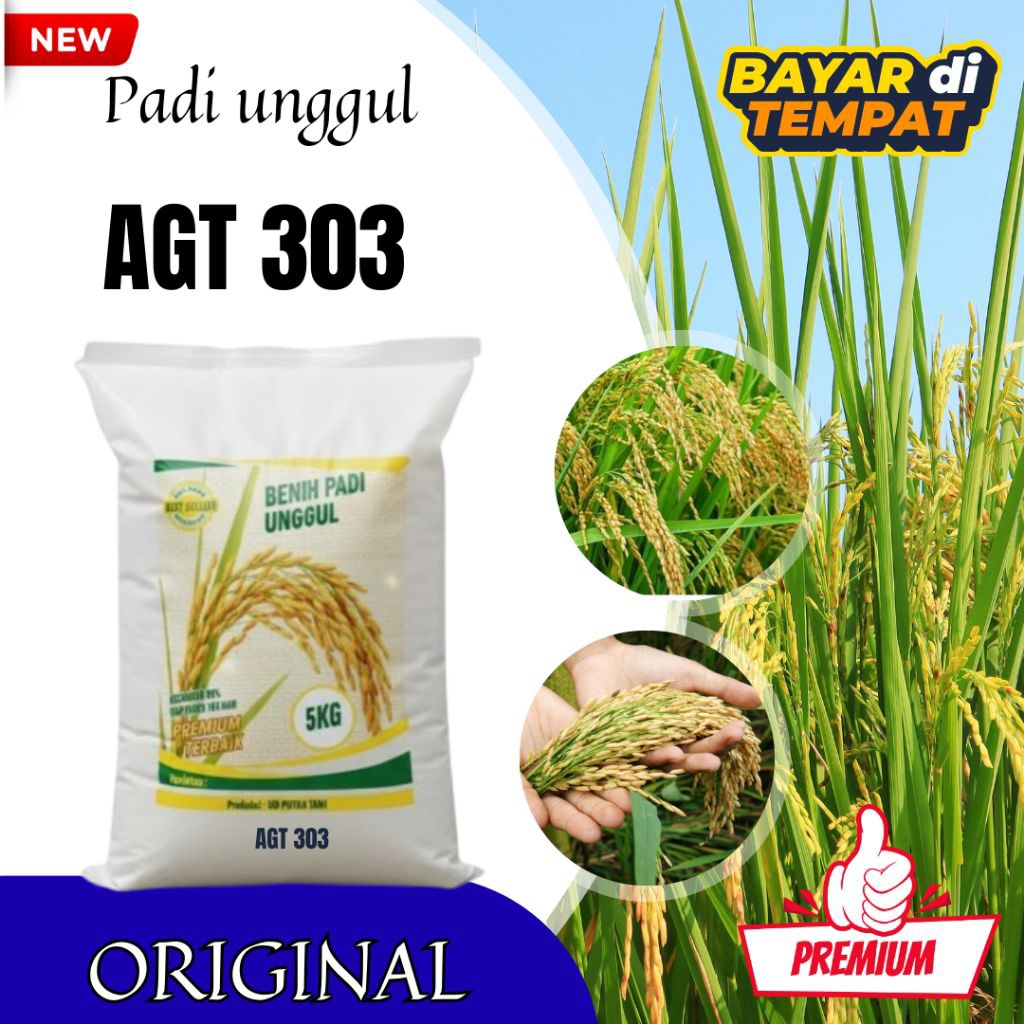 BENIH PADI AGT 303 BIBIT PADI UNGGUL BERKUALITAS PREMIUM 5KG RASA NASI PULEN