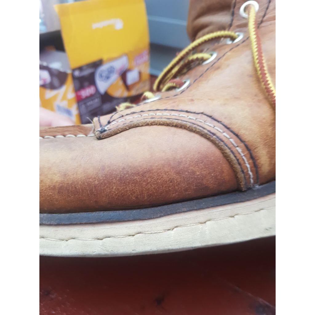 REDWING IRISH SETTER ORIGINAL