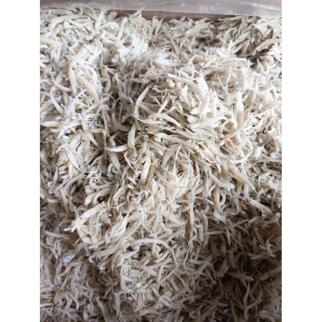 Ikan asin teri medan/ikan asin teri nasi termurah