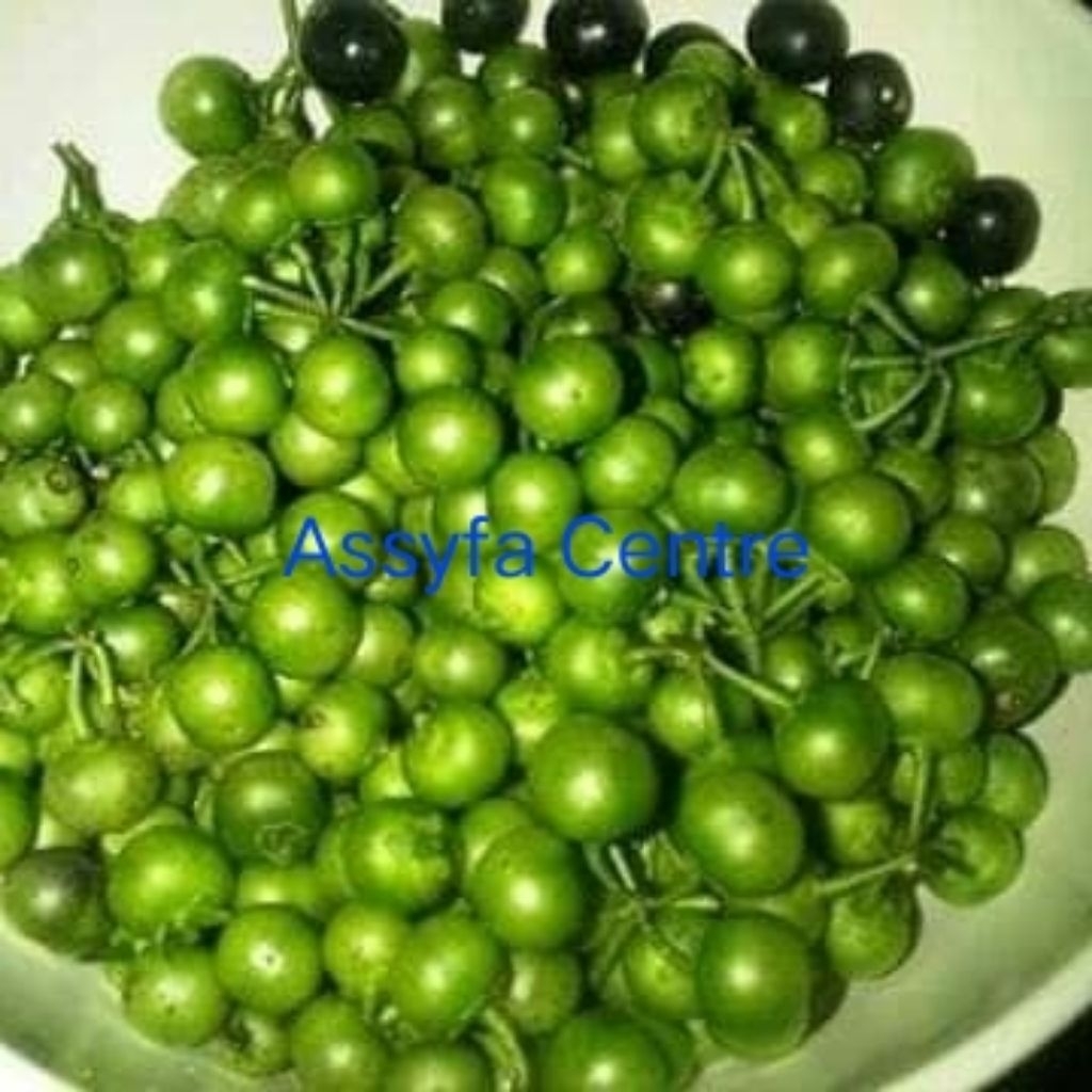 leunca mix terong lalap 1kg fresh asli bandung