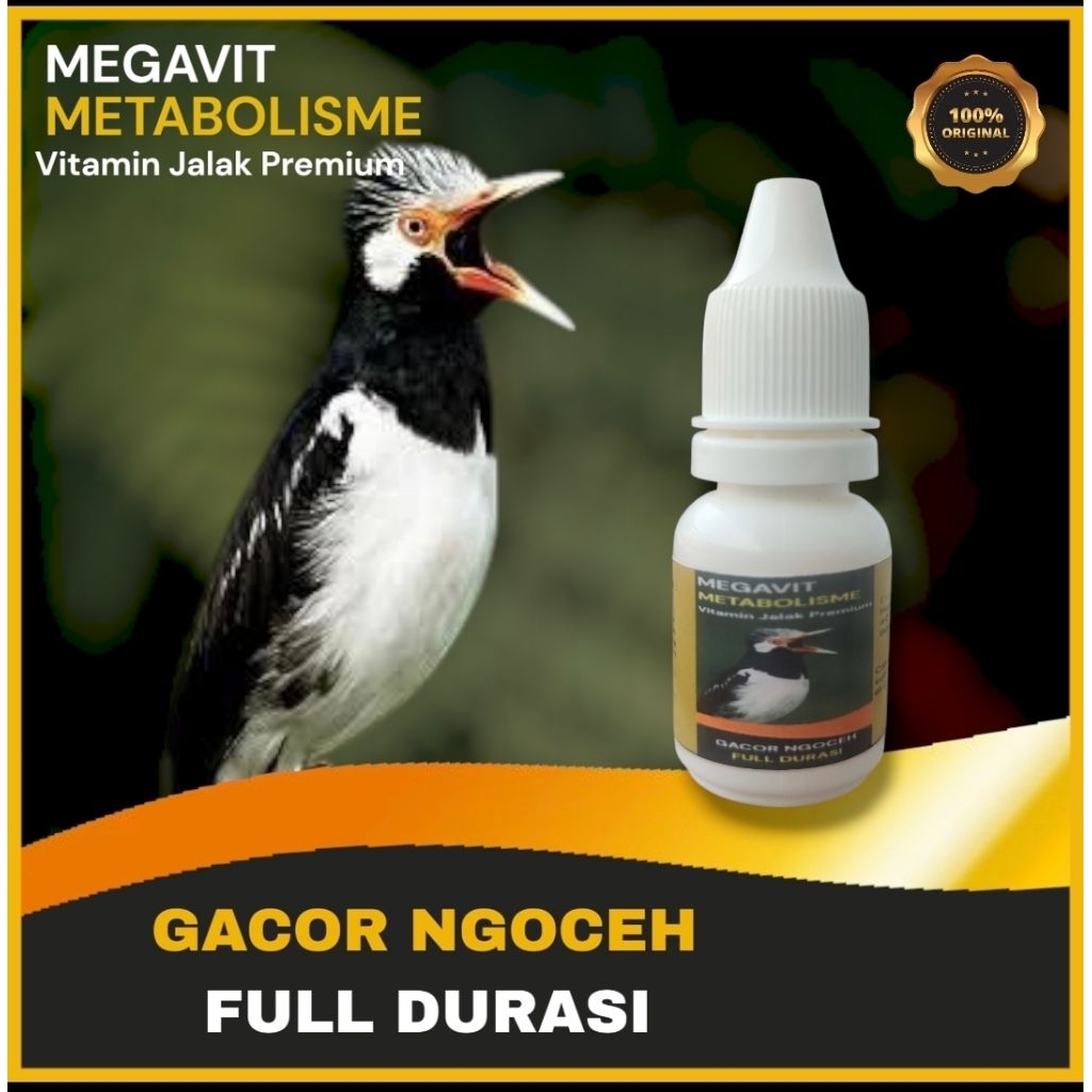 MEGAVIT - Vitamin Burung Jalak Suren / Jalak Kebo / Jalak Putih / Jalak Bali Premium Gacor Ngoceh Fu