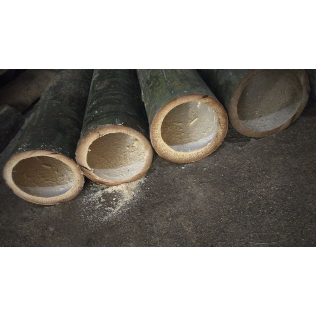 BAMBU PETUNG TUA RUAS PANJANG