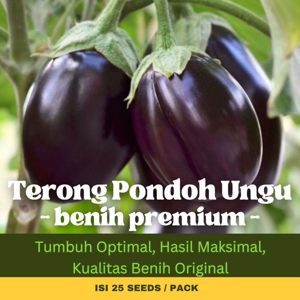 Griya Benih - 25 Biji Benih Sayuran Unggul Terong Pondoh Ungu