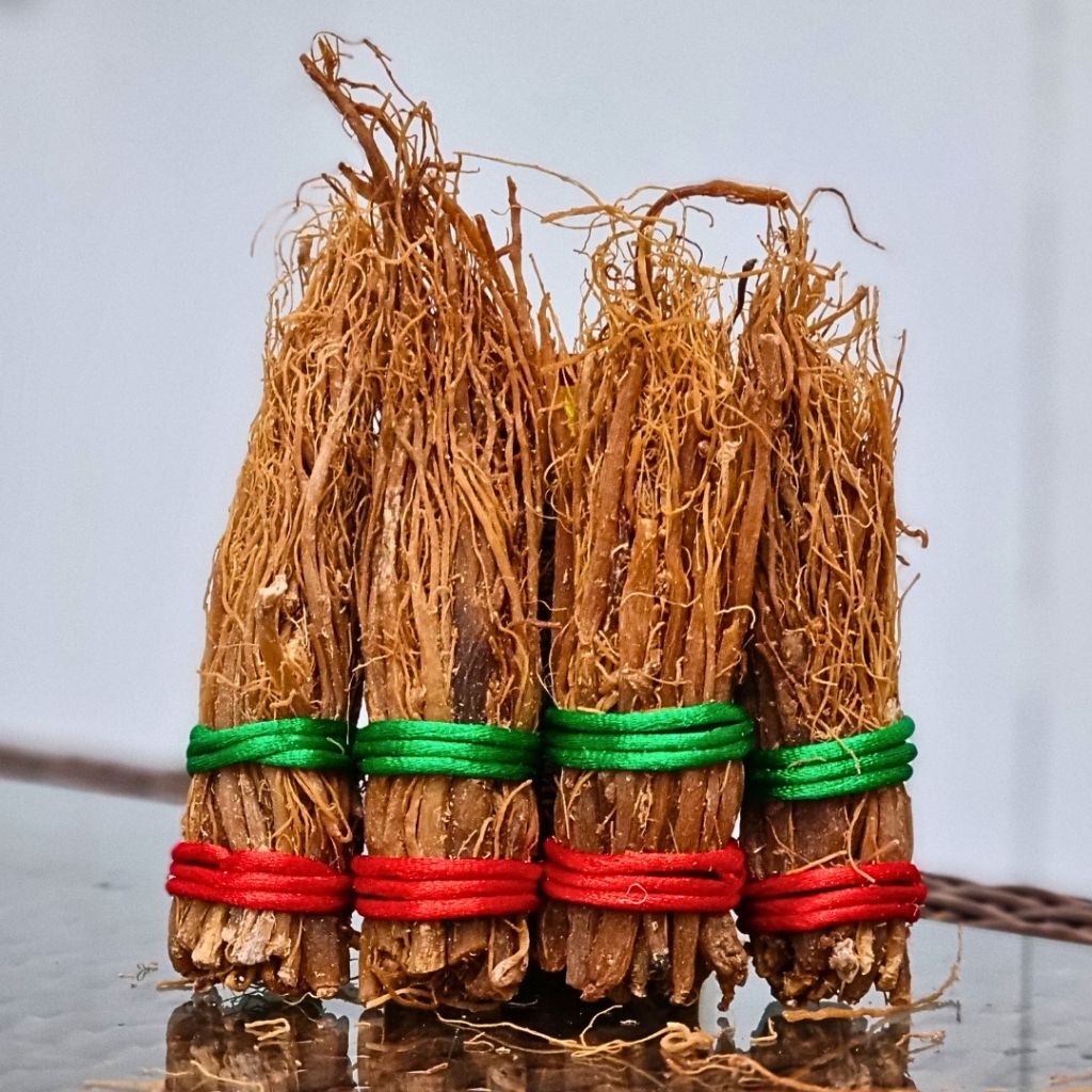 AKAR KOLESOM / UNTUK KEKEBALAN TUBUH