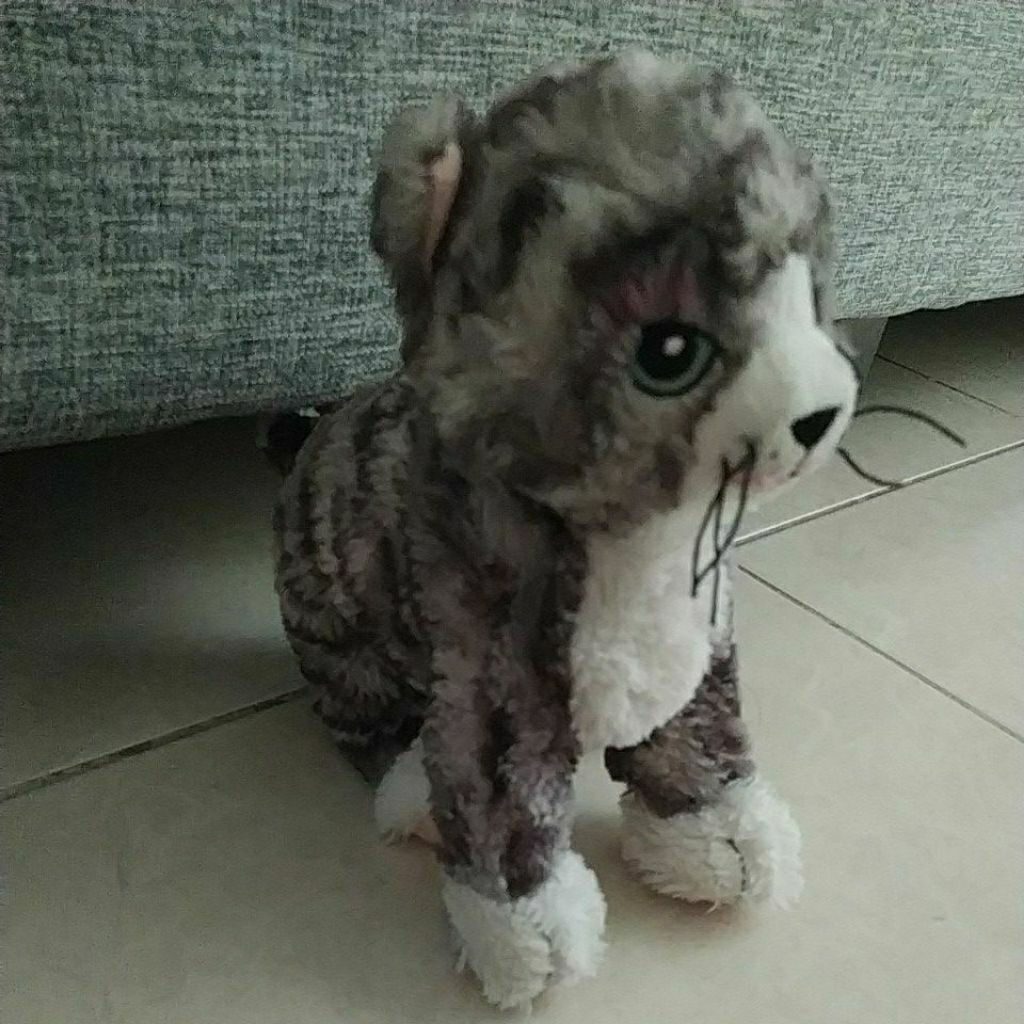 Preloved boneka kucing Ikea