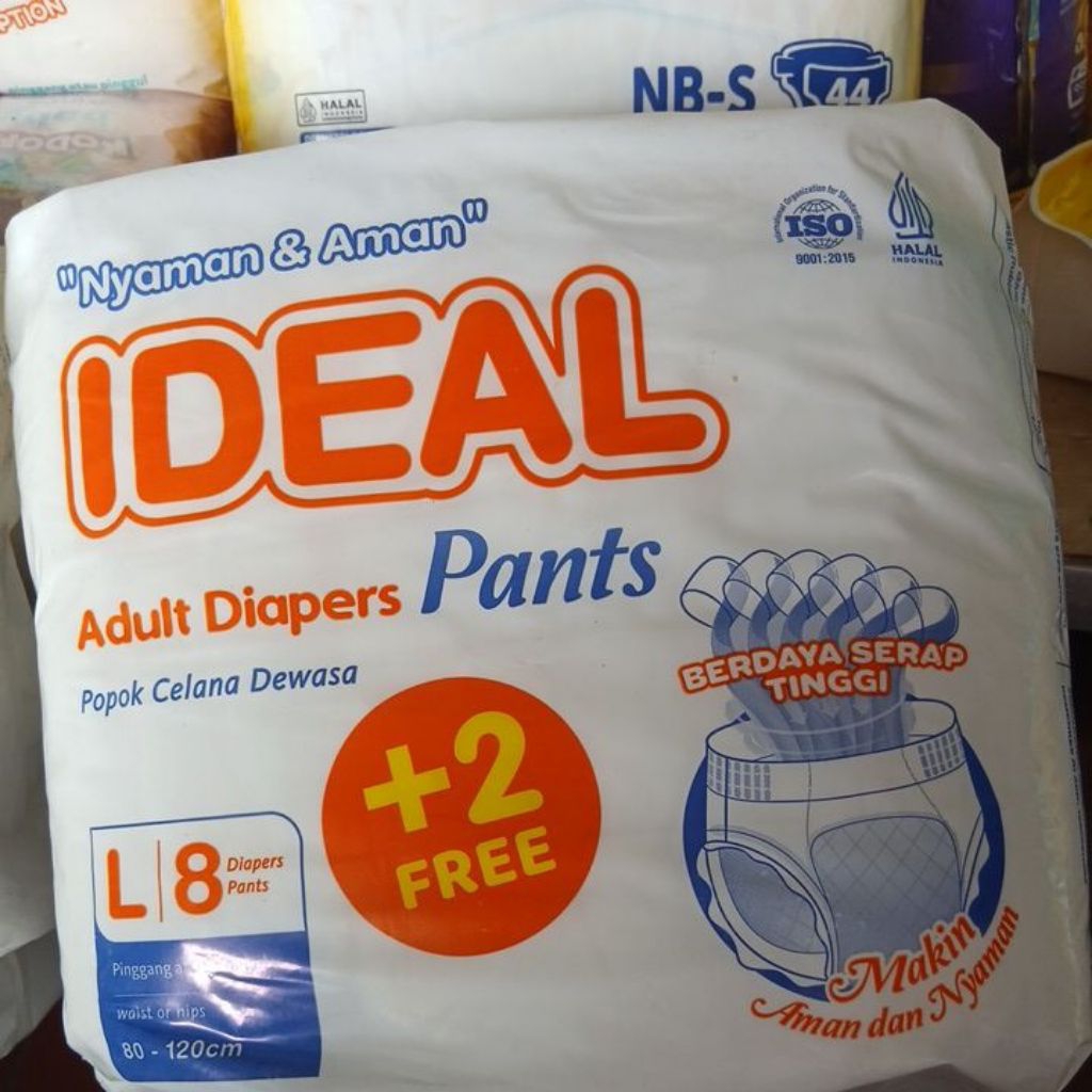 Ideal Pampers Dewasa L Celana isi 8