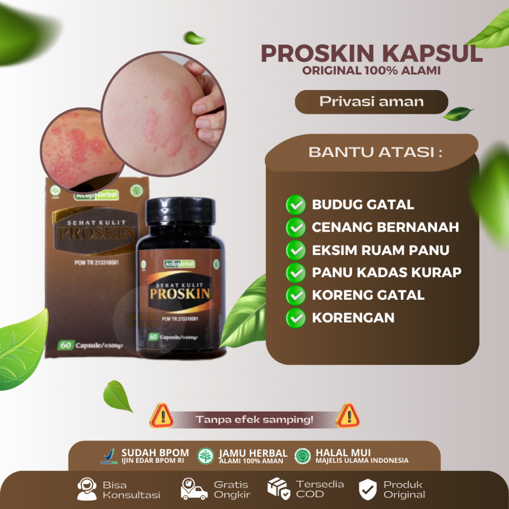 Obat Penghilang Budug, Buduk, Cenang Bernanah, Gudik, Scabies Manusia, Skabies Untuk Anak, Cacar Dew