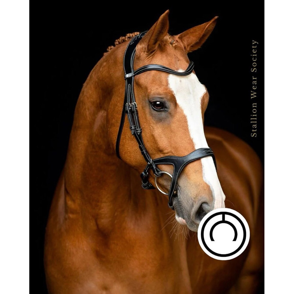 MONTAR BRIDLE MONARCH ORGANIC TANNED BRIDLE BERKUDA