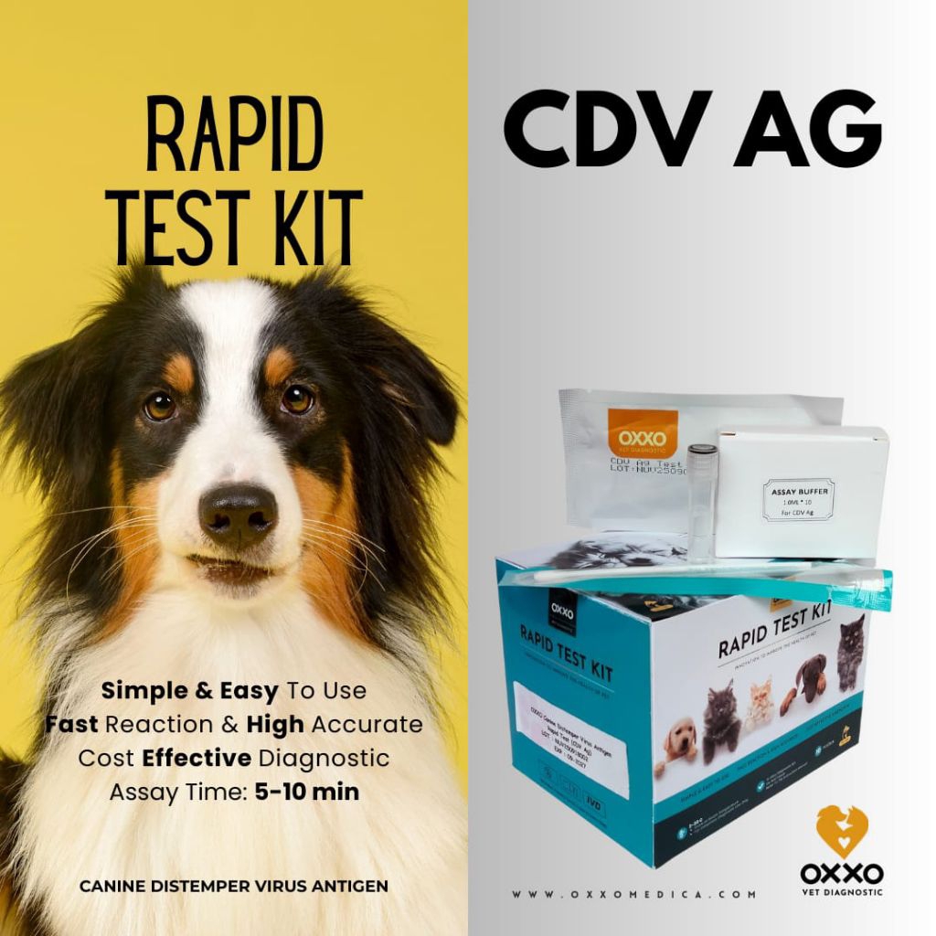 Test Kit CDV Ag/ Canine Distemper Virus Antigen Rapid Test