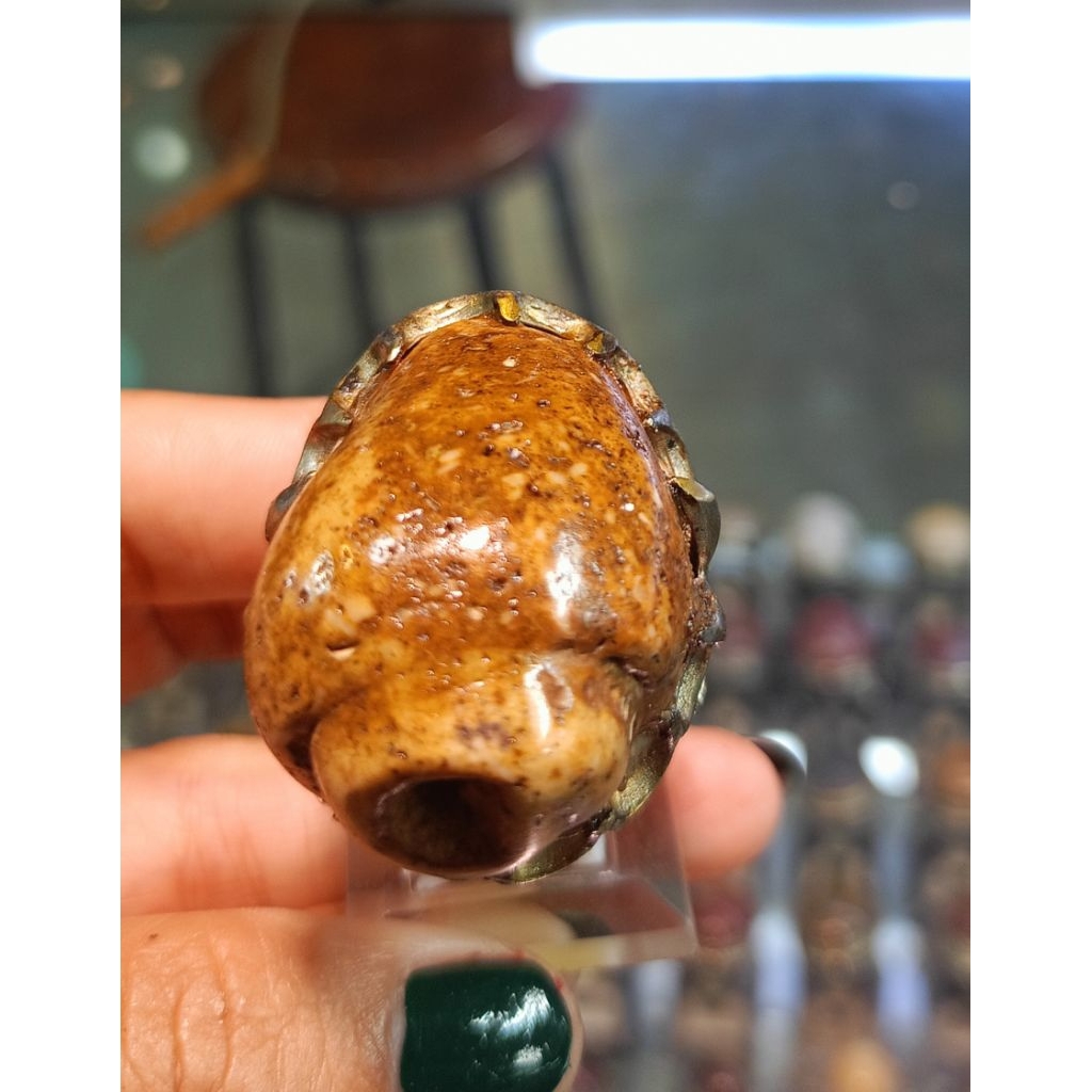 Cincin fosil keong/kool buntet(Natural)