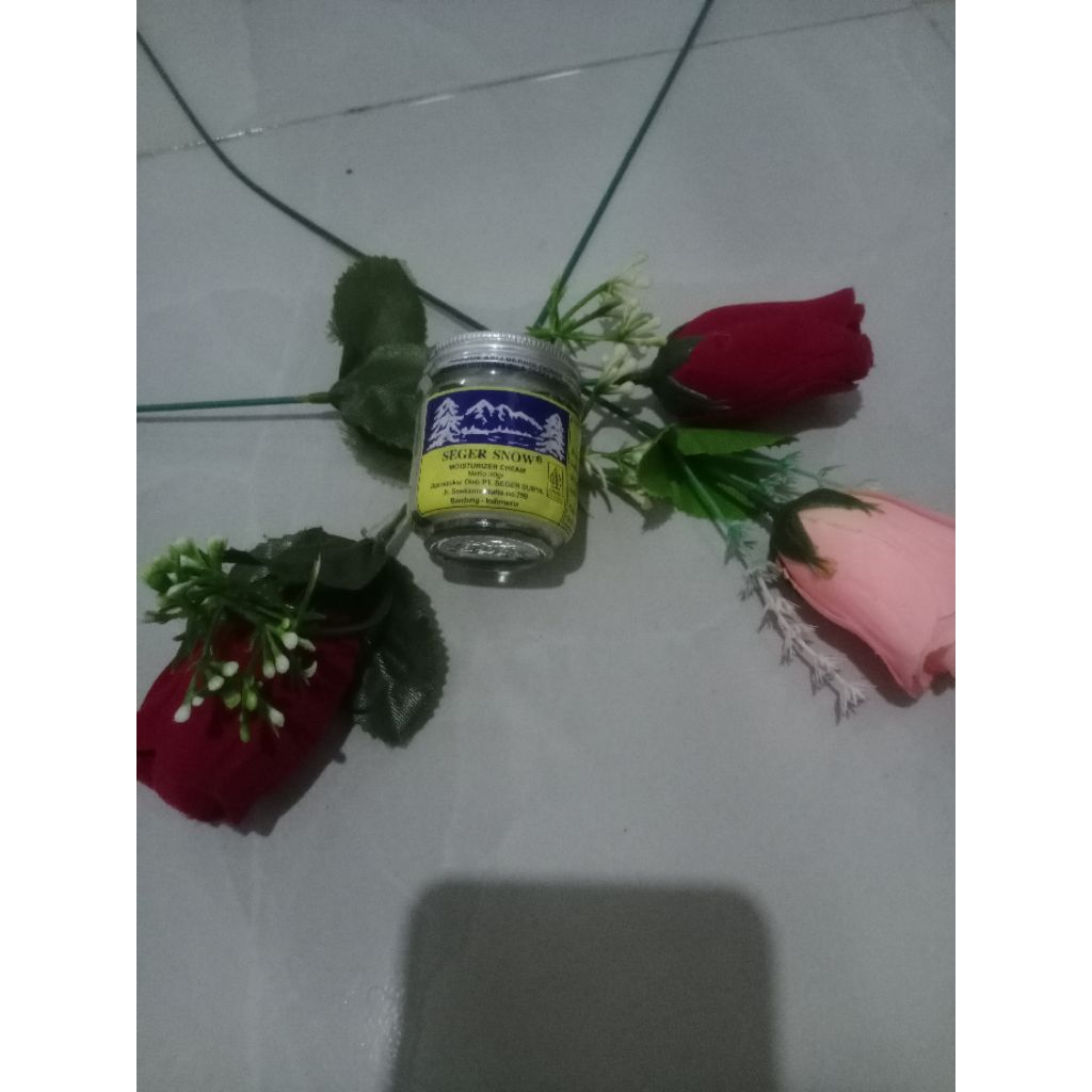 seger snow moisturizer cream