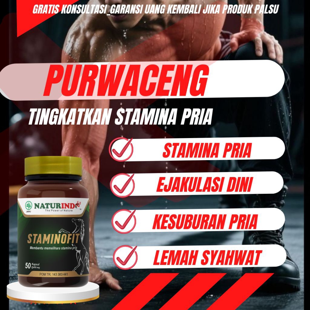 Herbal Purwaceng Obat Pria Dewasa Original Staminofit