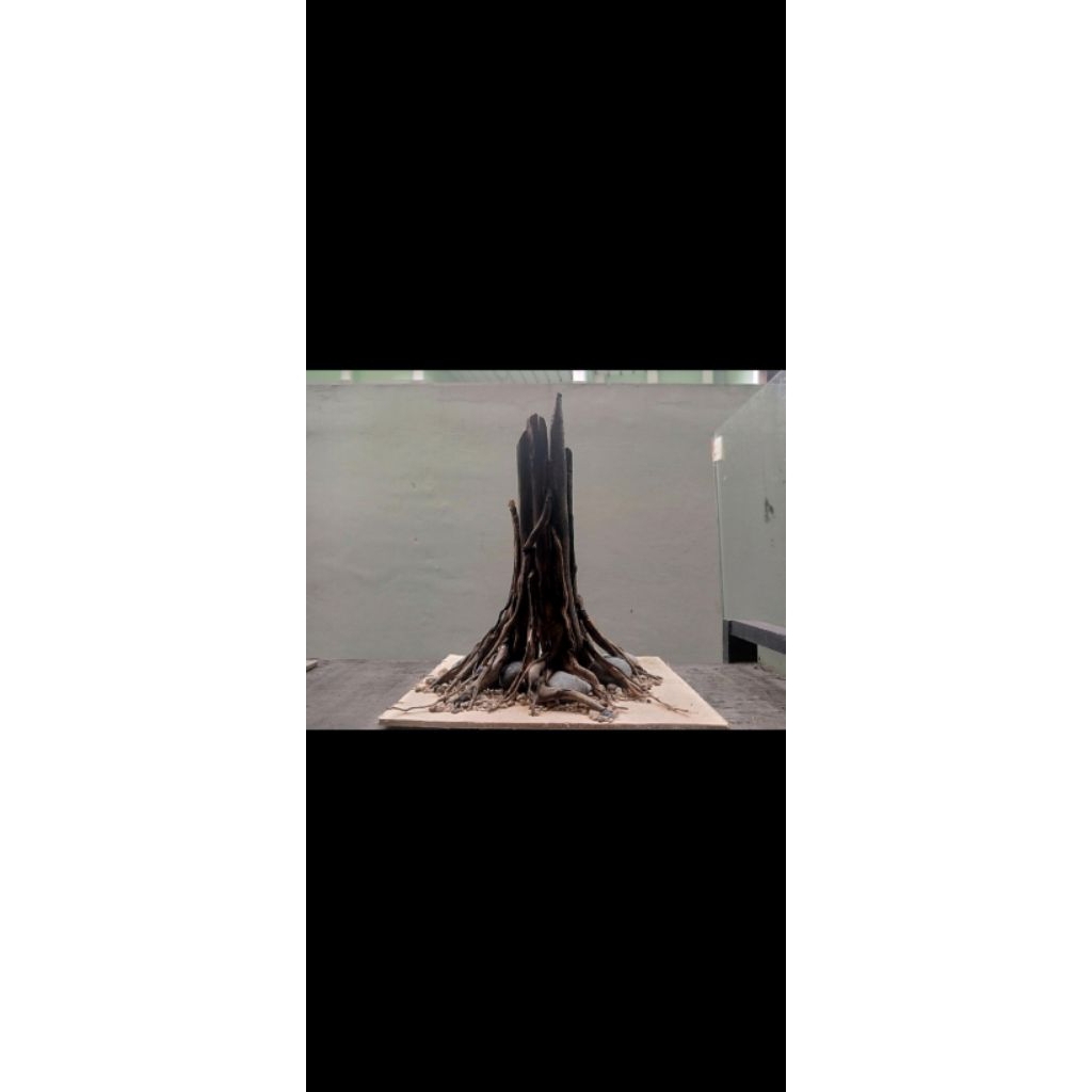 HARDSCAPE AQUASCAPE NATURAL Untuk tank 40 CM