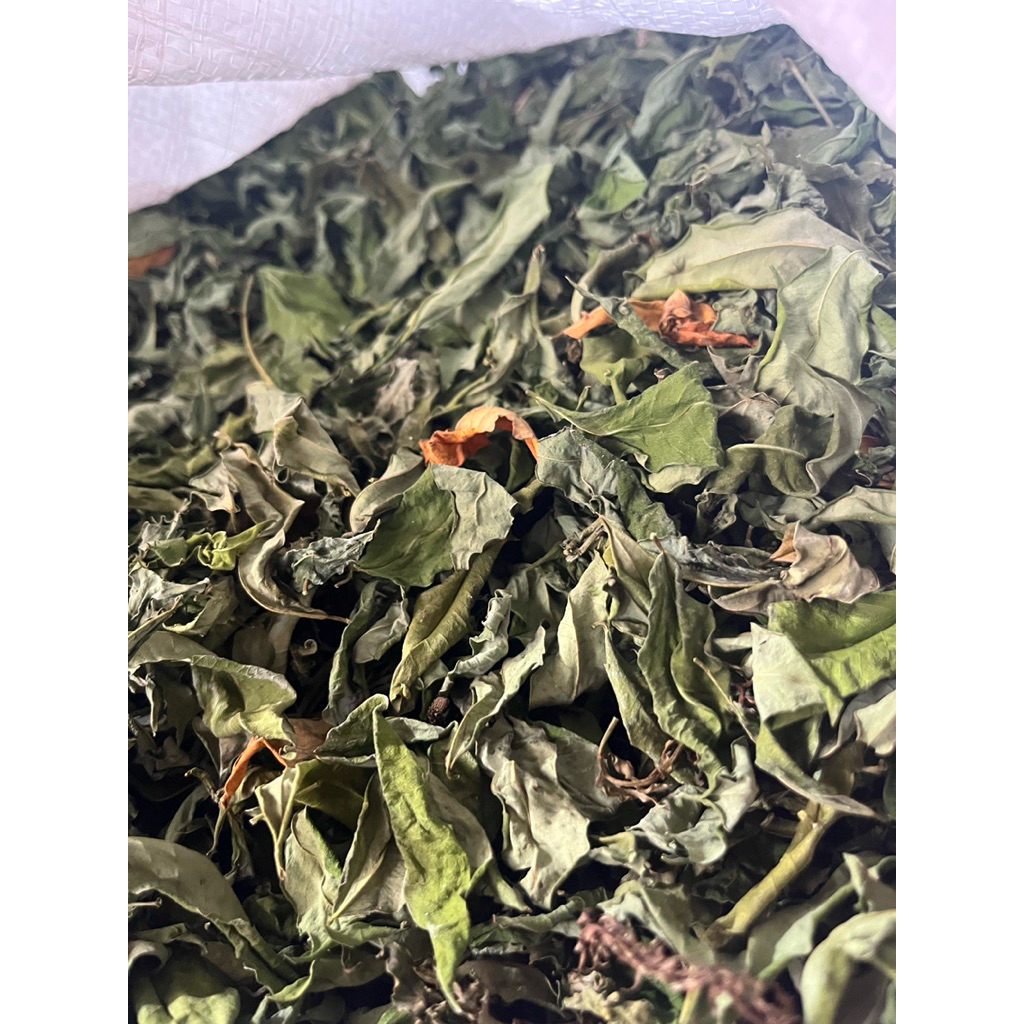hay indigofera 1 kg