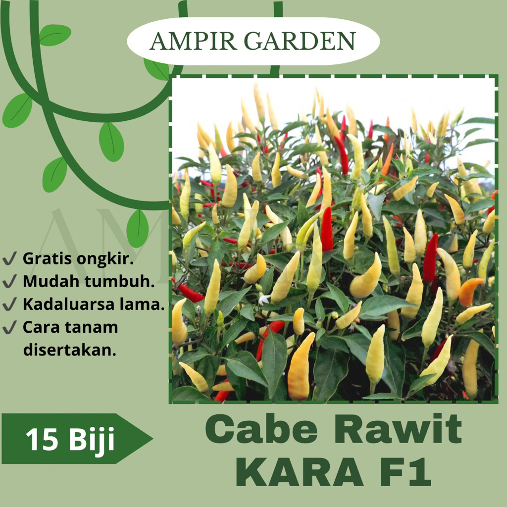 15 Biji Benih Cabai Rawit KARA F1 Unggul - Bibit Benih Cabe Rawit Merah / Sayuran Cabai Canai Sret