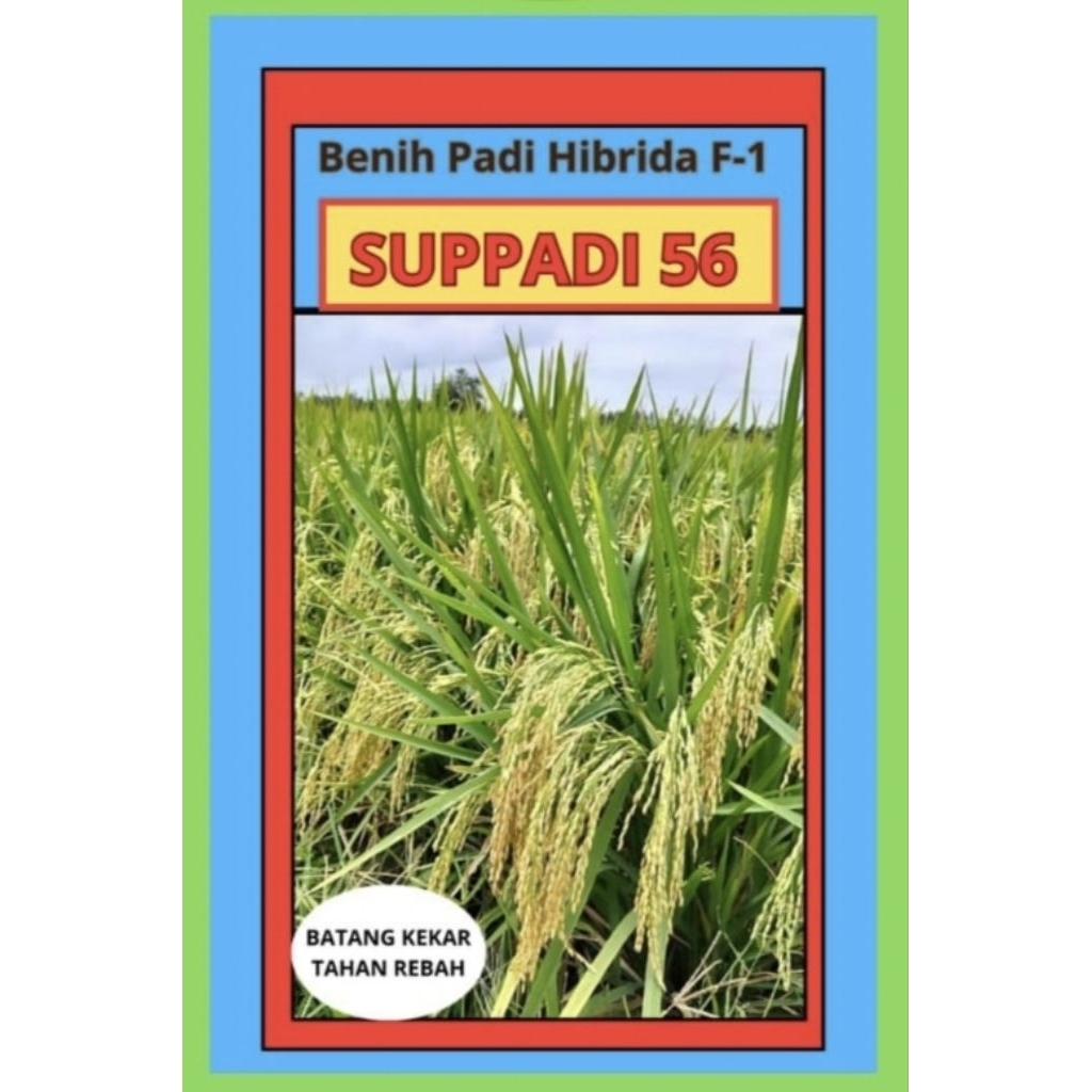 Benih padi hibrida SUPADI kemasan1Kg