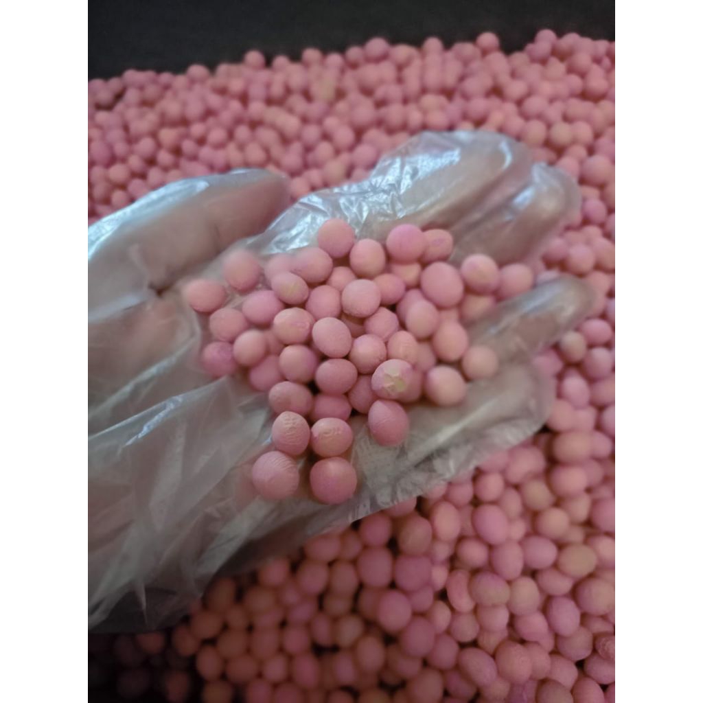 Benih Edamame Ryoko 1kg/isi sekitar 2500 butir