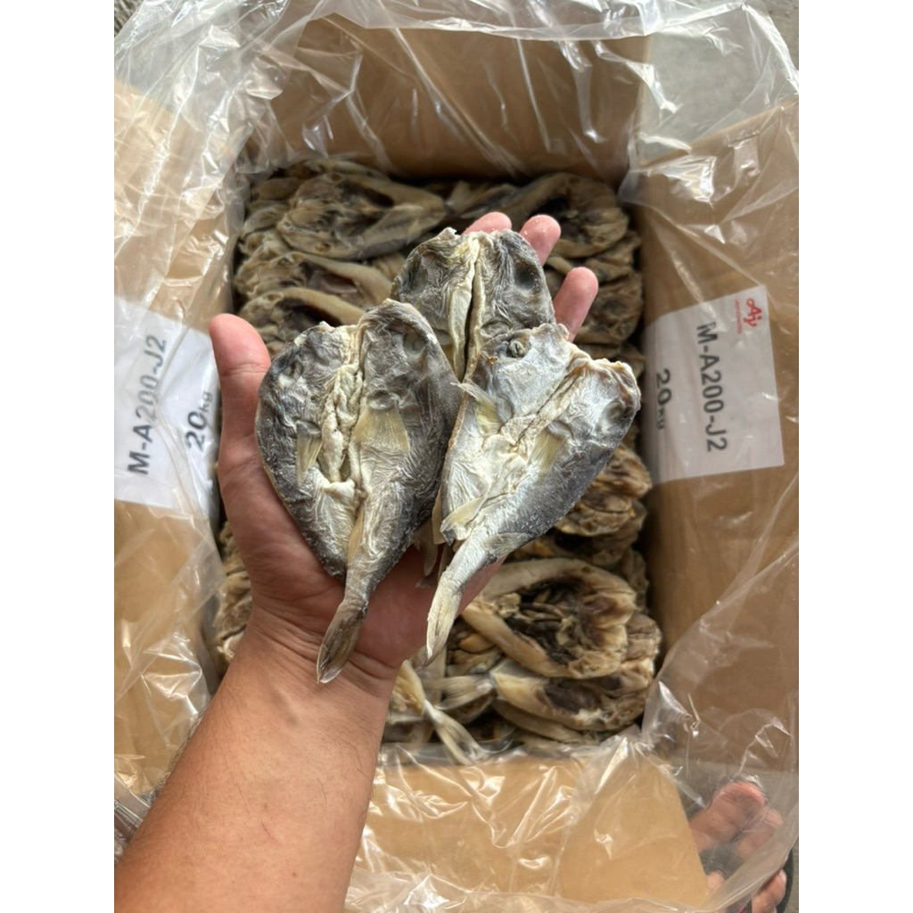 Ikan Asin Belah Buntal Kering