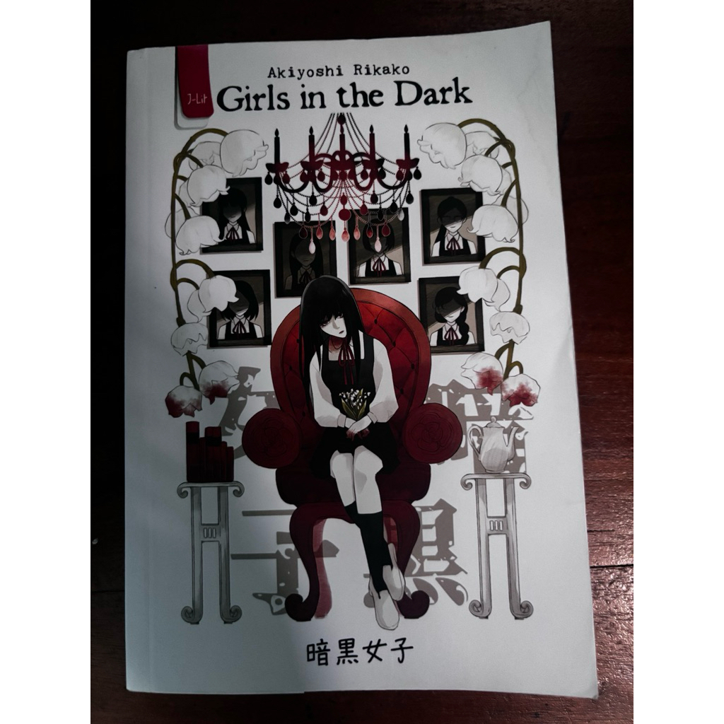 Preloved Novel Girls In The Dark
