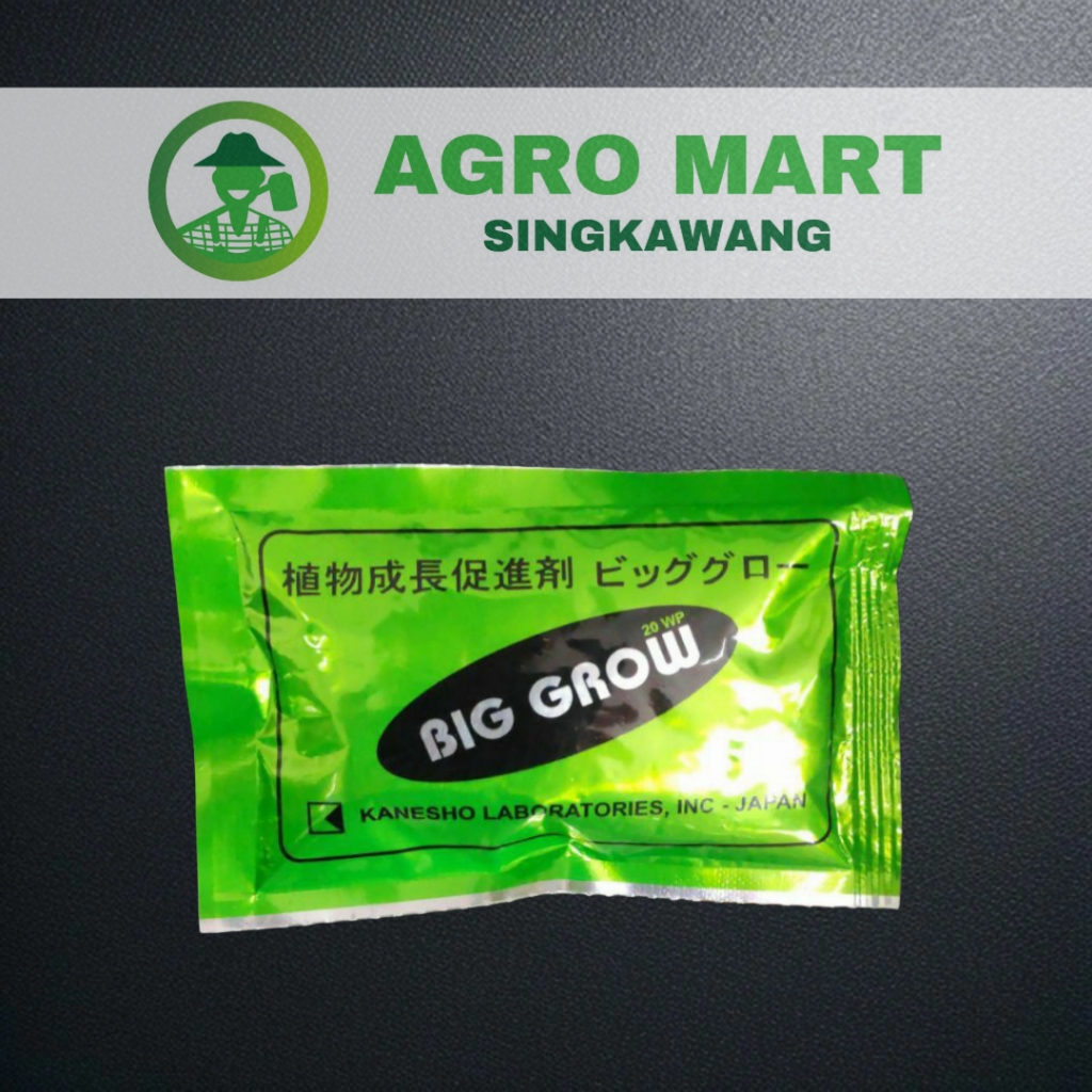Big grow 5 gram pembesar buah