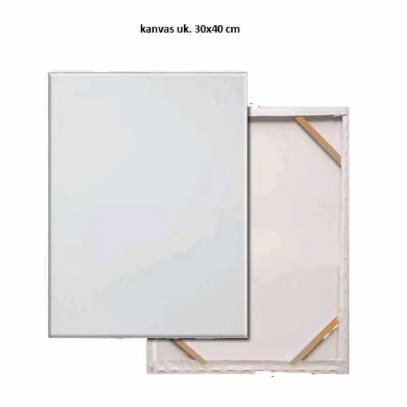 Kanvas Lukis 30x40