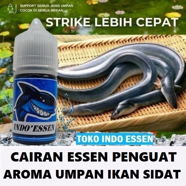 CAIRAN ESSEN PENGUAT AROMA UMPAN IKAN SIDAT PALING JITU | INDO ESSEN ISI 30ML